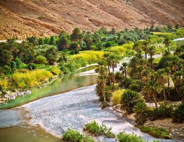 Tour de 6 dias Agadir al Desierto