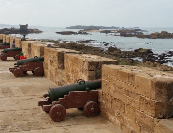 Excursion de un dia desde Marrakech a Essaouira