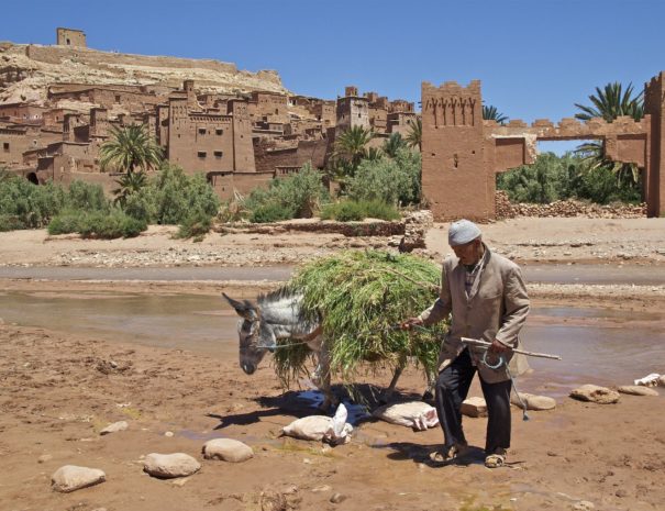 Excursiones en Marruecos