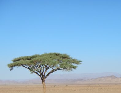 Ruta De 8 Dias Desde Tanger al Desierto Marrakech