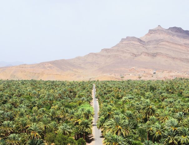 Ruta de 3 días Marrakech a Errachidia