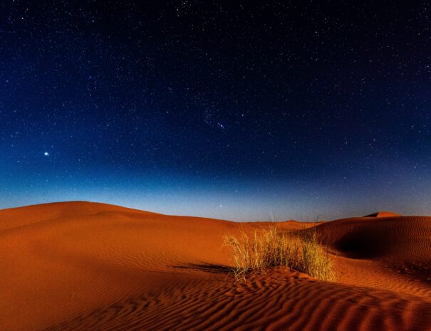 una noche en el desierto